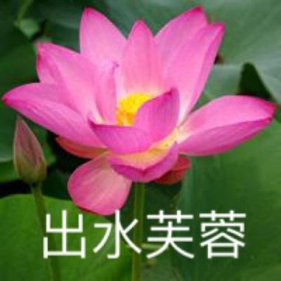 台湾各界纷纷对赖清德“5·20”讲话表达失望和不满